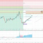 Shib Inu: Everything You Need to Know About the Popular Dog Breed