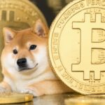 HBAR Crypto: Hedera Hashgraph Price, News, Analysis, and Future Potential