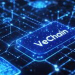 Vanguard: Comprehensive Guide to Investment Options and Strategies