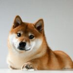 Bitcoin Price Prediction: Expert Analysis and Future Outlook