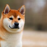 SHIB Price: Live Shiba Inu Coin Value, Chart & Market Analysis
