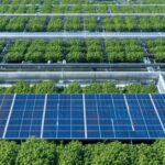 Meta Stock Price, Performance, and Latest News Updates