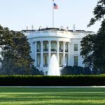 Vitalik Buterin: Ethereum Co-Founder and Blockchain Visionary