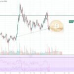 Bitcoin Crash: Causes, Impact, and What Investors Should Know